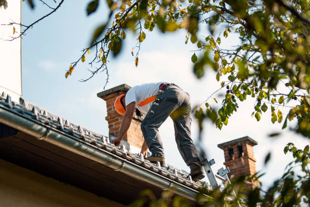 Best Gutter Installation and Roofing  in Girard, IL